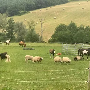 A La Ferme Avec Jacuzzi Et Piscine Chauffee , Saint-Felix-de-Tournegat France